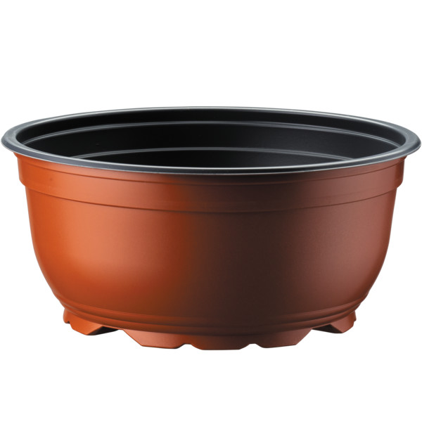 Buying flower pots? Pots for professionals - Desch | Pflanzkübel